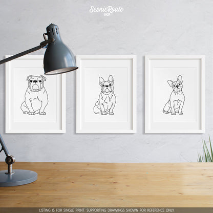 A group of three framed drawings on a white wall above a desk with a lamp. The line art drawings include a Bulldog, a French Bulldog, and a Boston Terrier dog