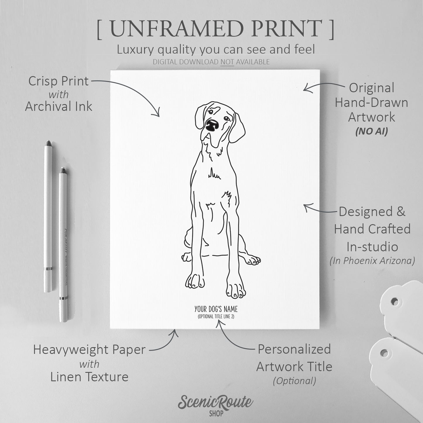 Great Dane Art Print