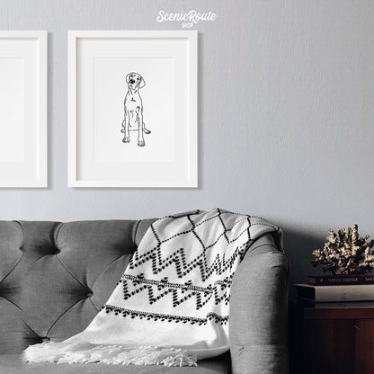 A framed line art drawing of a Great Dane dog on a white wall above a couch with a blanket