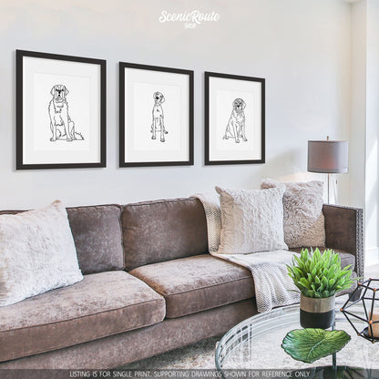 A group of three framed drawings on a white wall above a couch. The line art drawings include a Saint Bernard dog, a Great Dane dog, and a Mastiff dog
