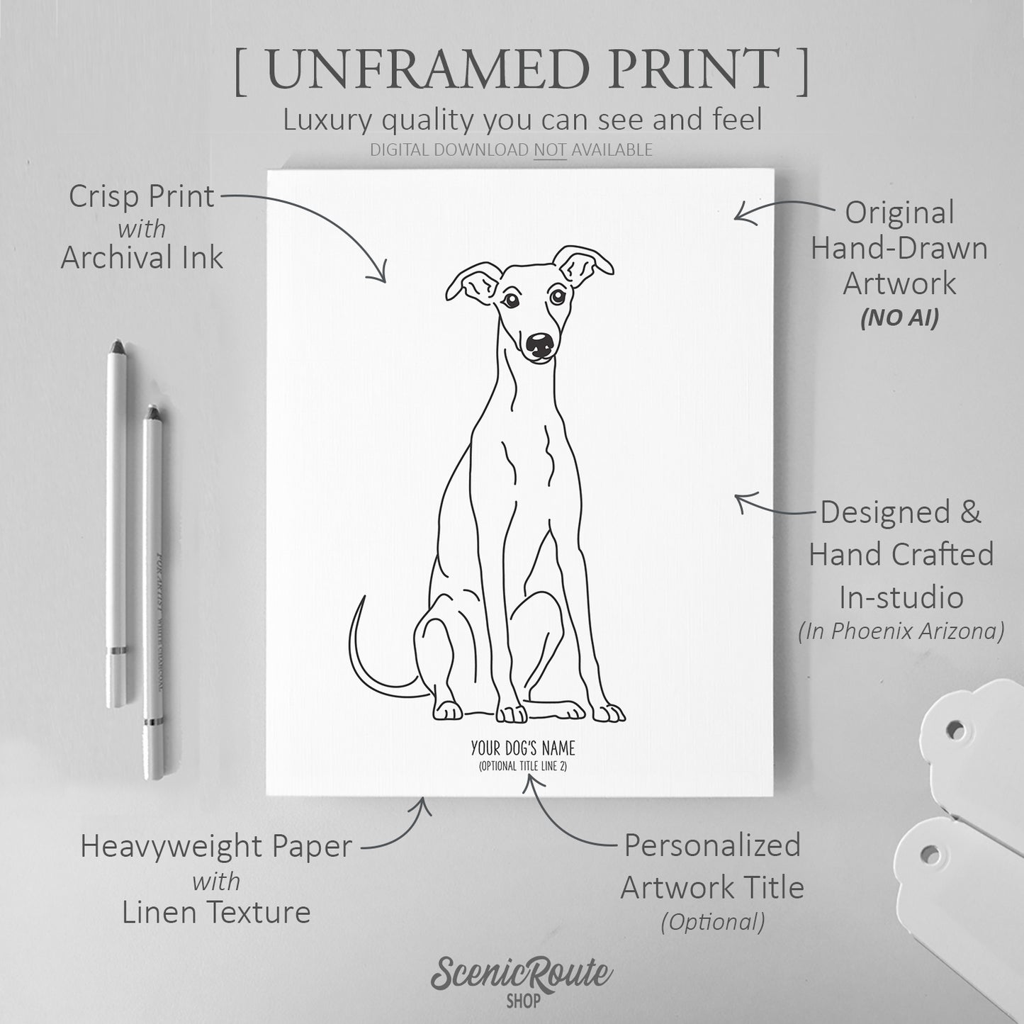 Greyhound Art Print
