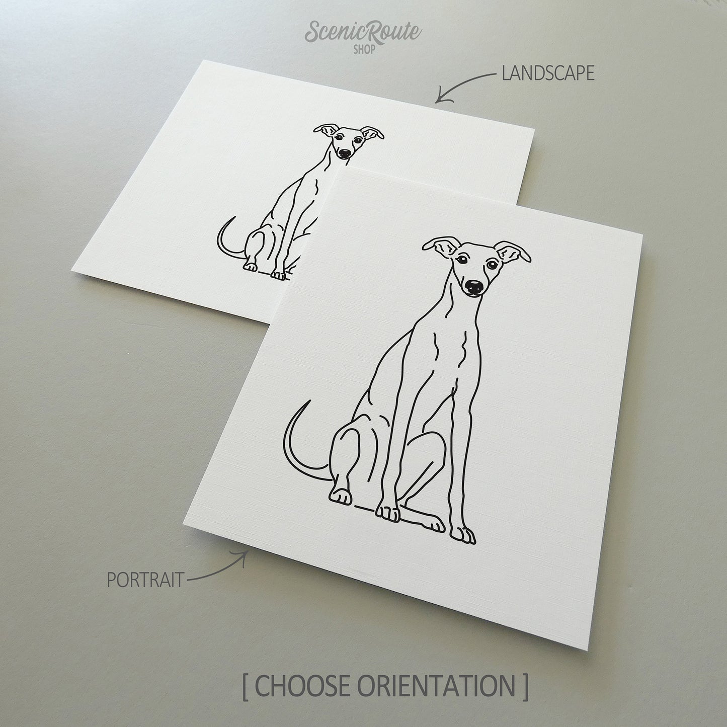 Greyhound Art Print