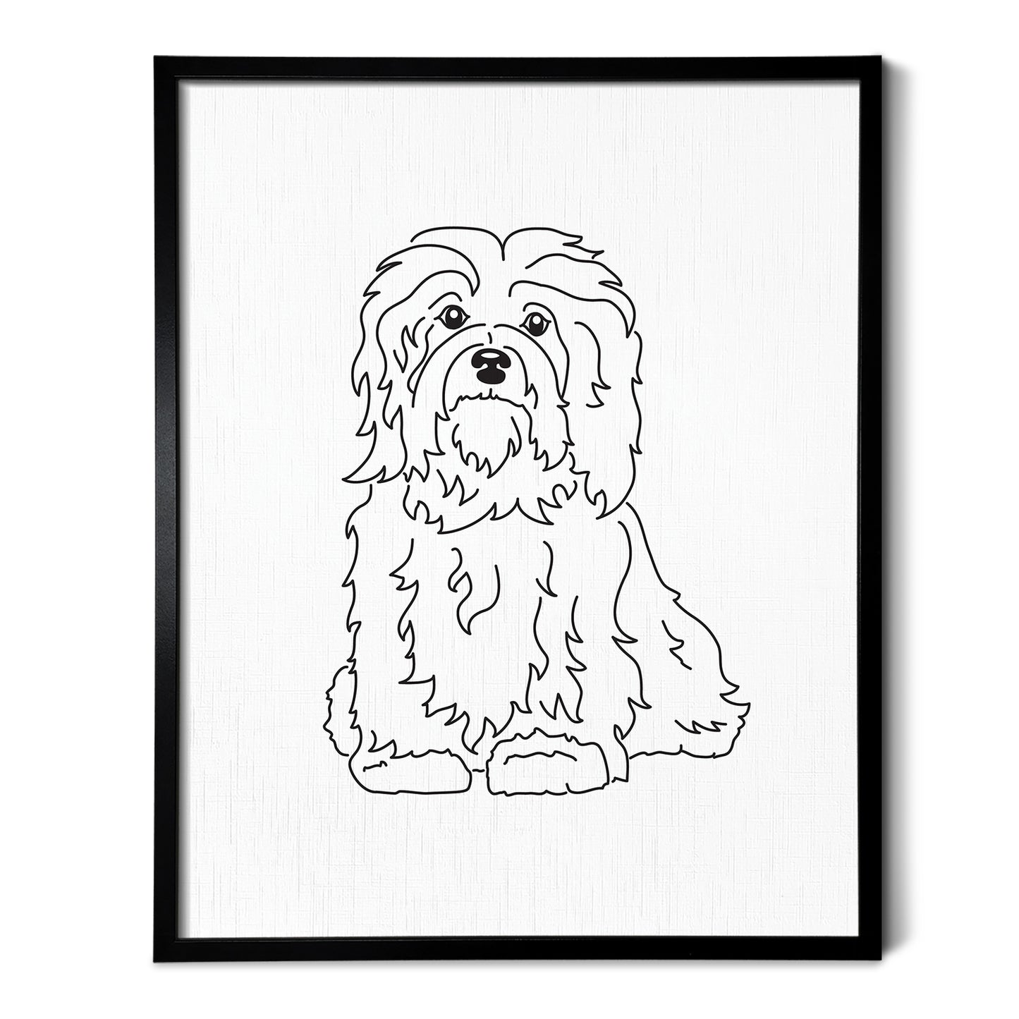 Havanese Art Print