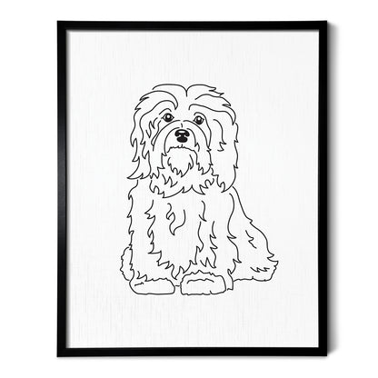 Havanese Art Print