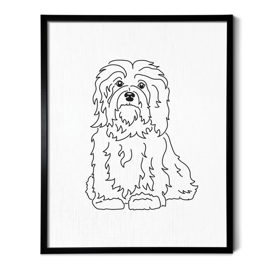 Havanese Art Print