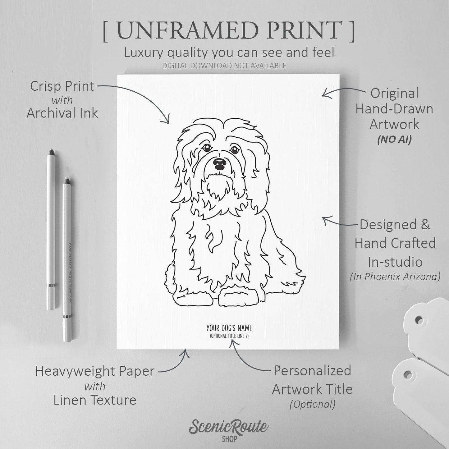 Havanese Art Print