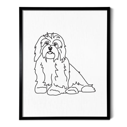 Havanese Art Print