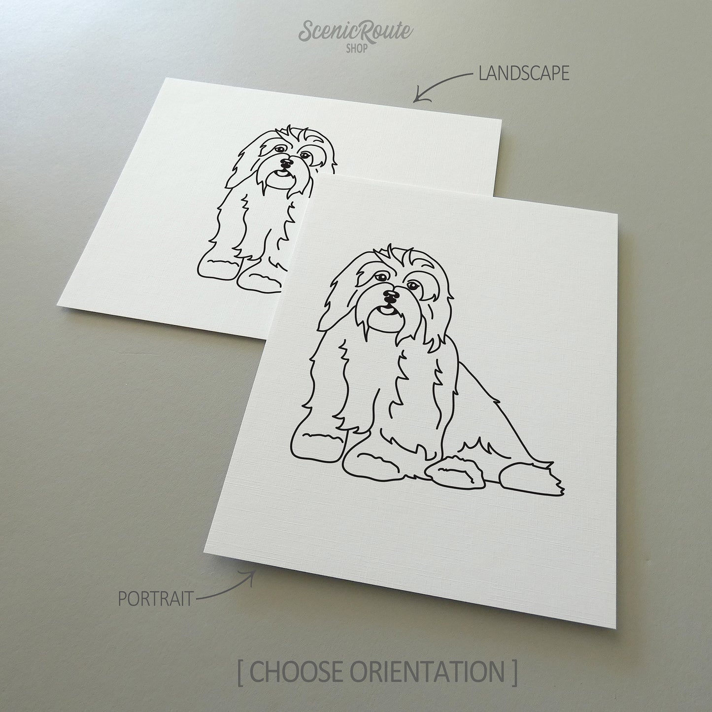 Havanese Art Print