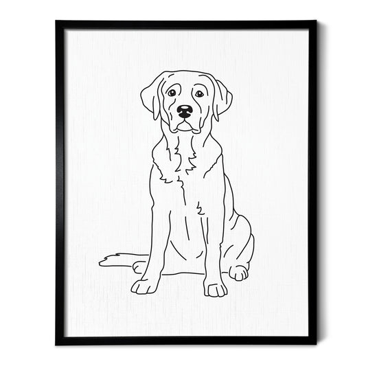 Labrador (American) Art Print