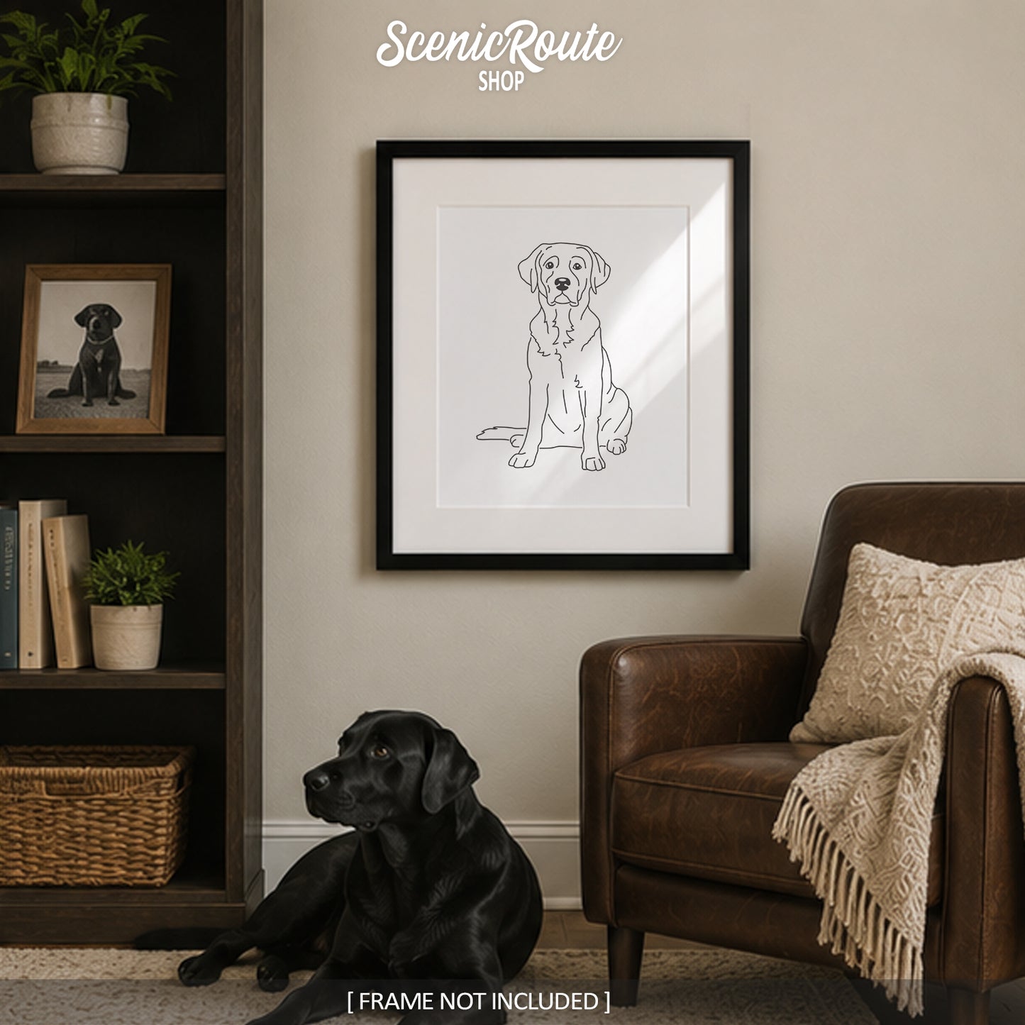 Labrador (American) Art Print
