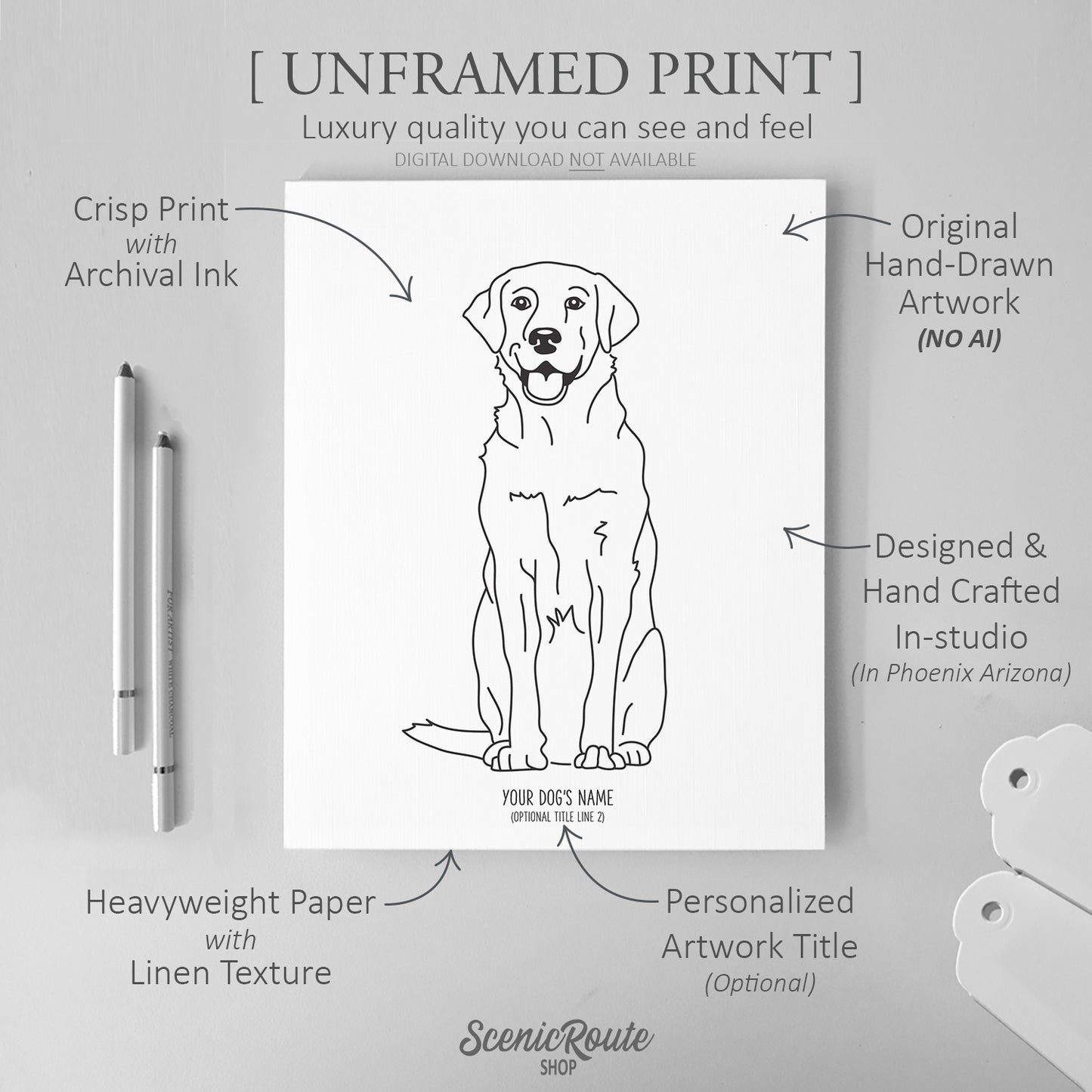 Labrador Art Print