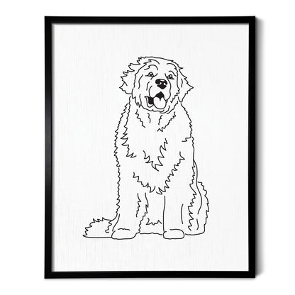Newfoundland Art Print