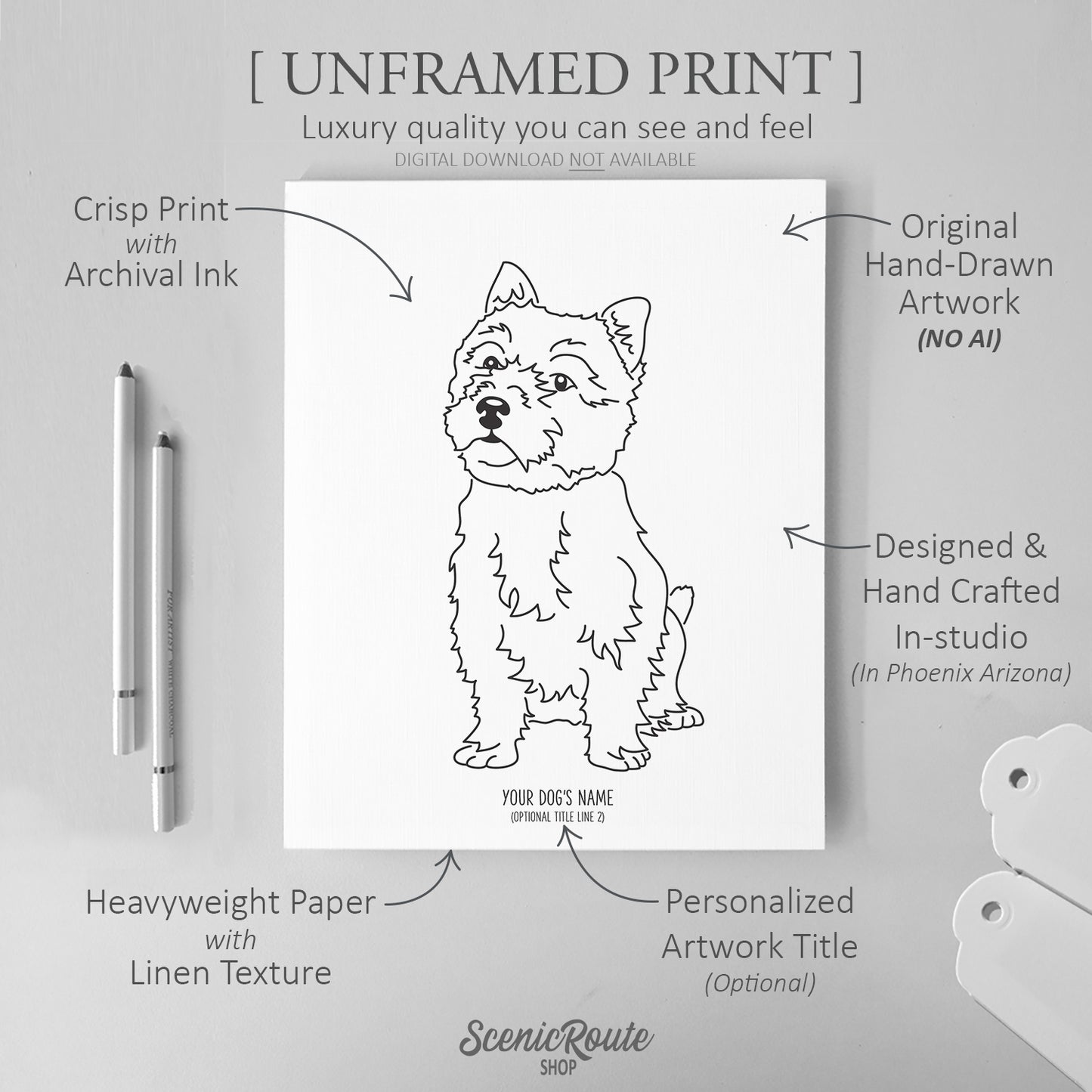 Norwich Terrier Art Print