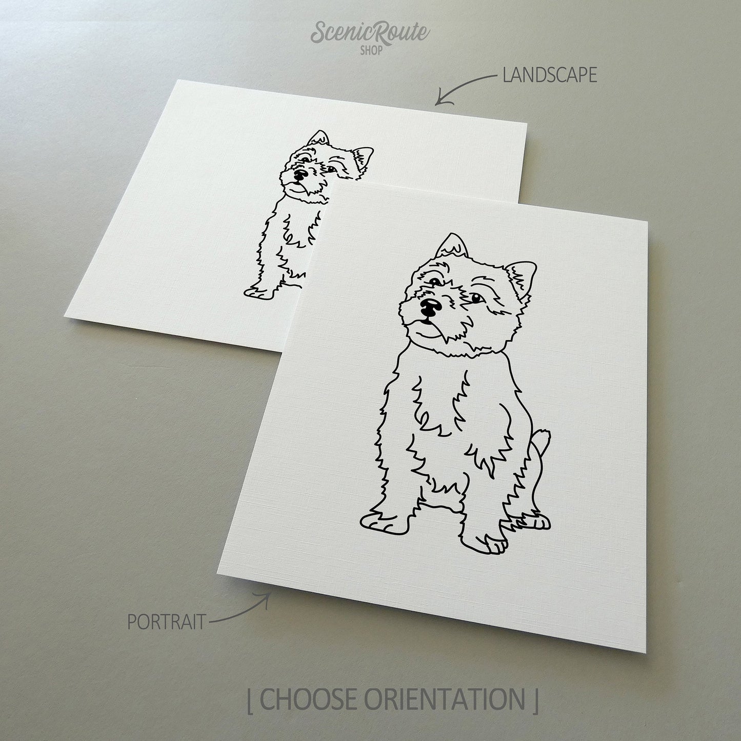 Two line art drawings of a Norwich Terrier dog on white linen paper with a gray background.  The pieces are shown in portrait and landscape orientation for the available art print options.