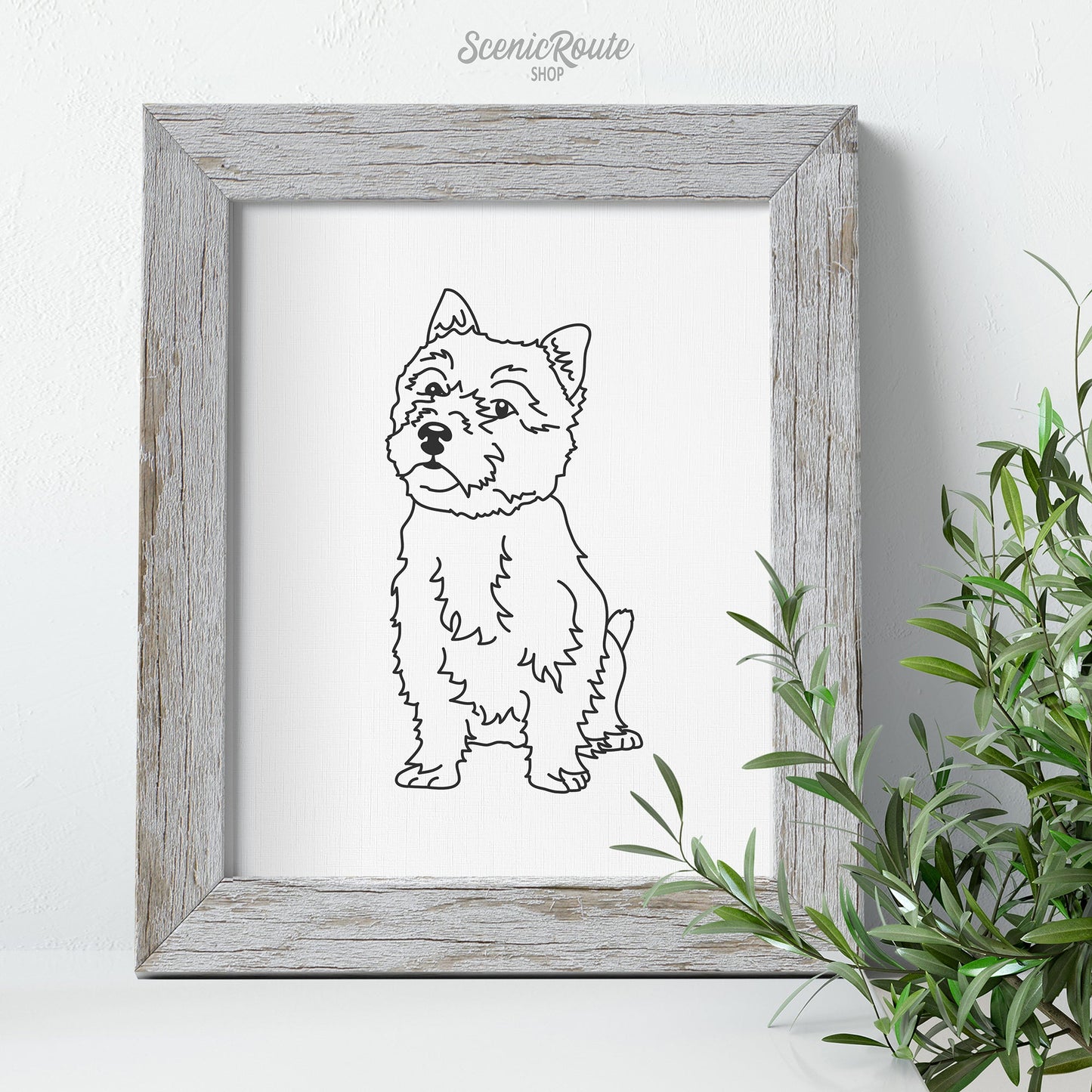 A framed line art drawing of a Norwich Terrier dog with a plant