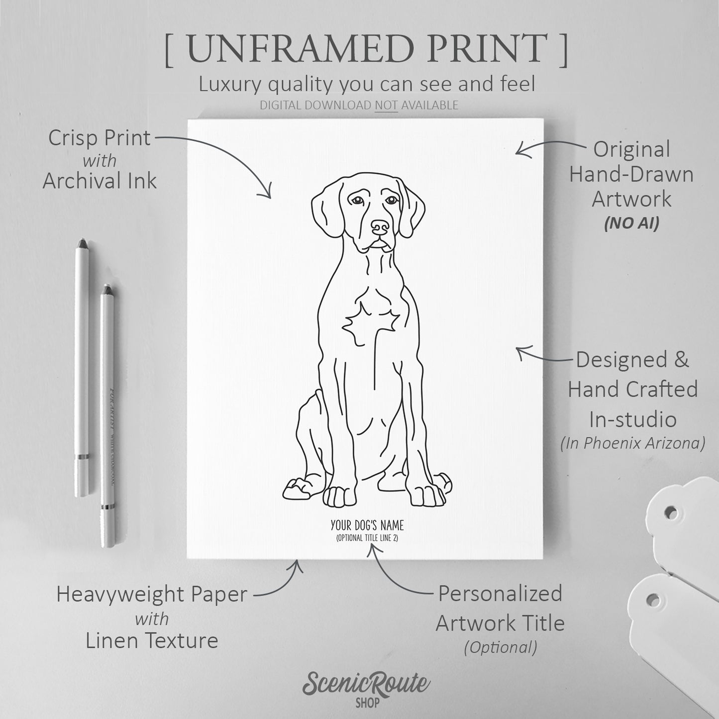 Pointer Art Print