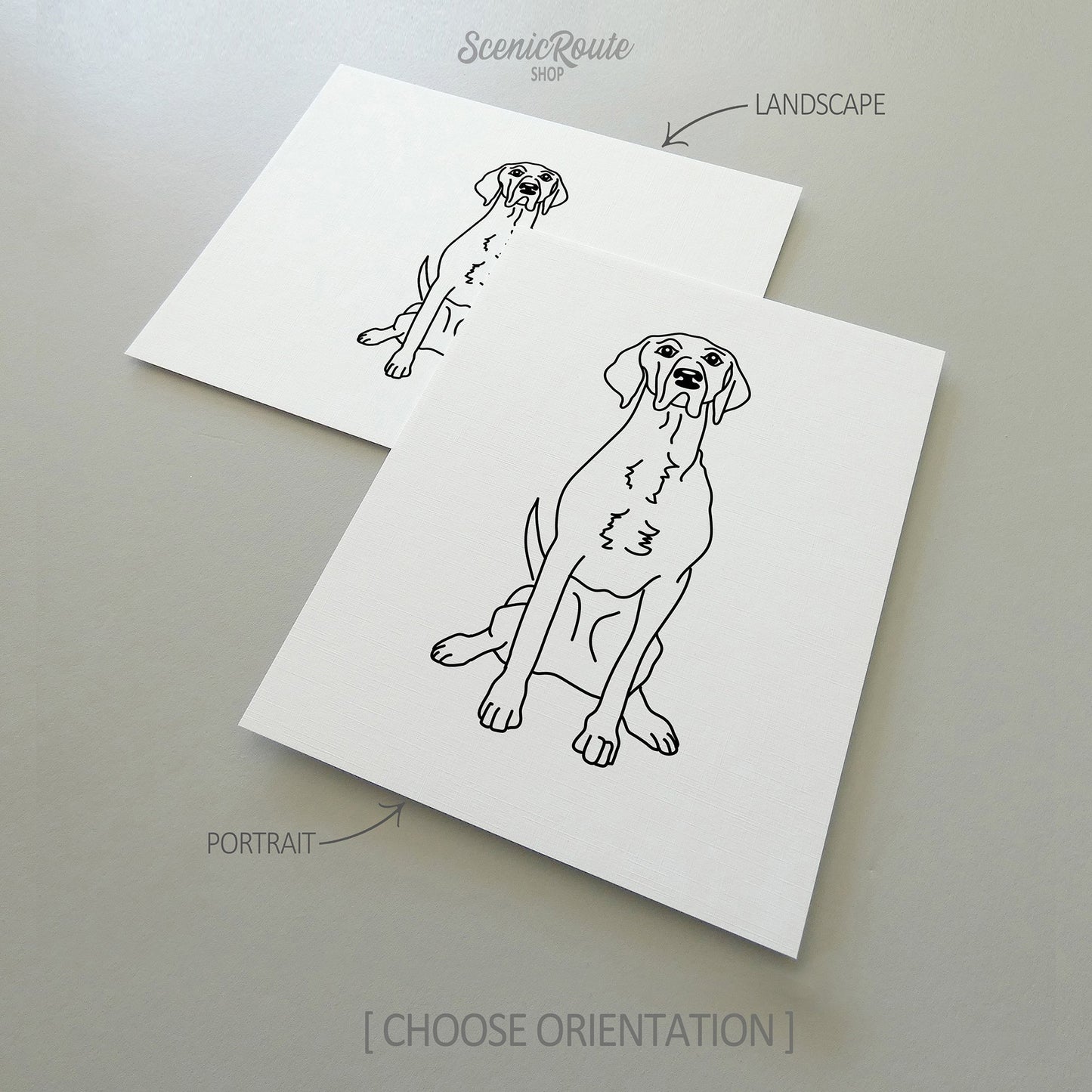 Two line art drawings of a Pointer dog on white linen paper with a gray background.  The pieces are shown in portrait and landscape orientation for the available art print options.