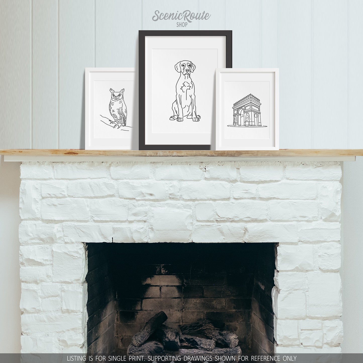 Pointer Art Print
