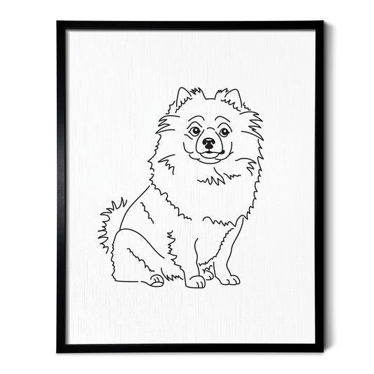 Pomeranian Art Print