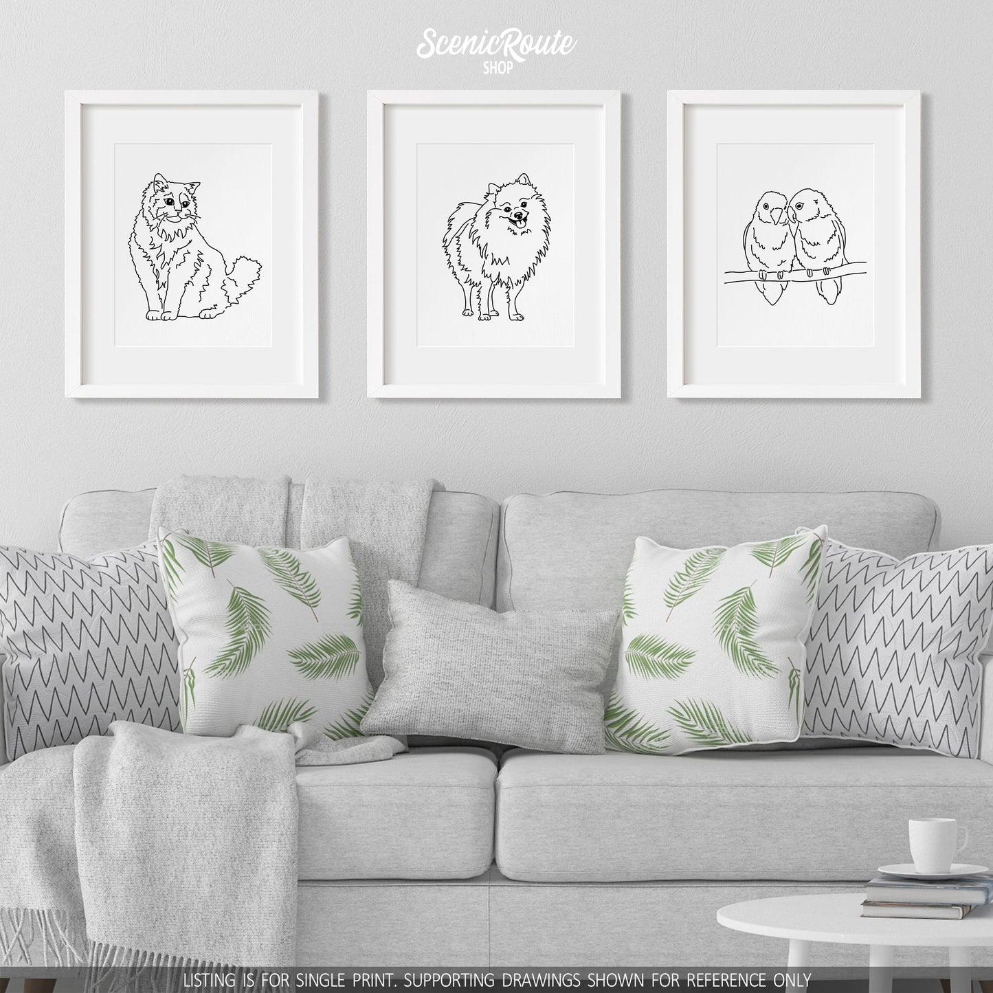 A group of three framed drawings on a white wall hanging above a couch with pillows and a blanket. The line art drawings include a Ragdoll cat, a Pomeranian Dog, and two Lovebirds
