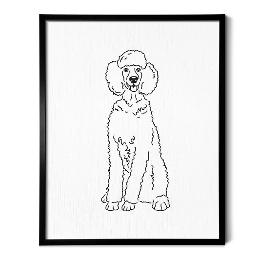 Poodle Art Print