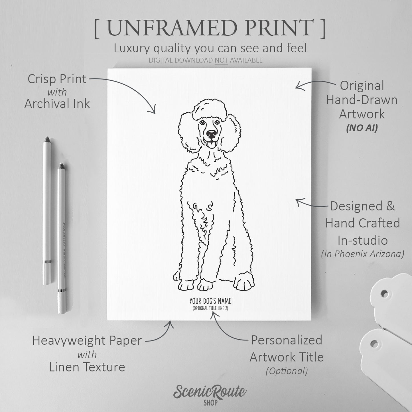 Poodle Art Print