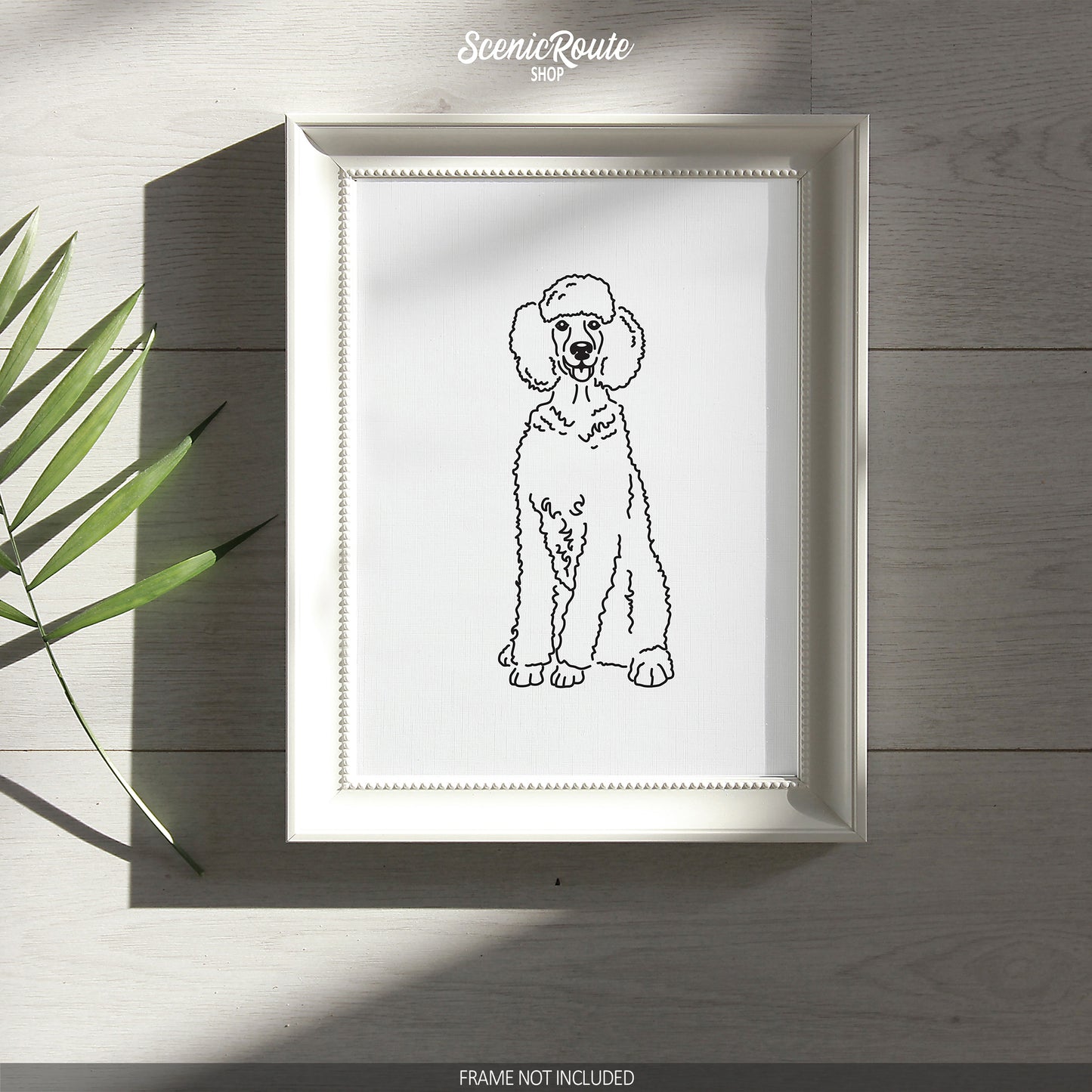 Poodle Art Print