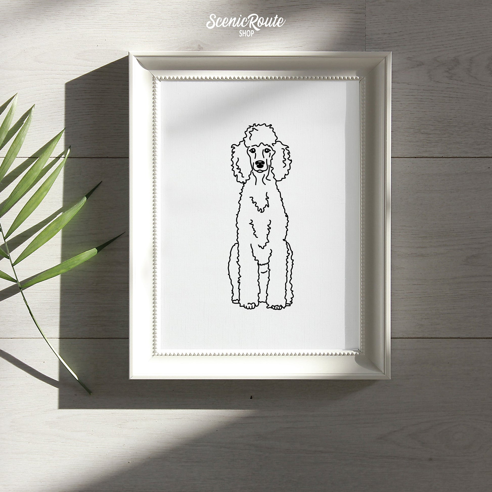 A framed line art drawing of a Poodle dog on a wood table with a palm leaf