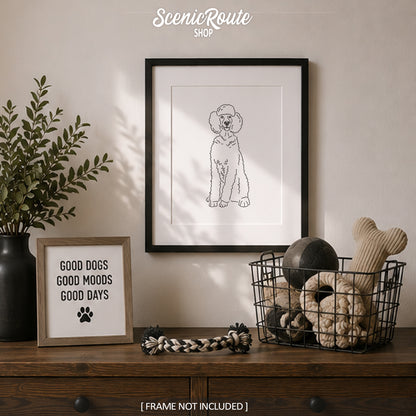 Poodle Art Print