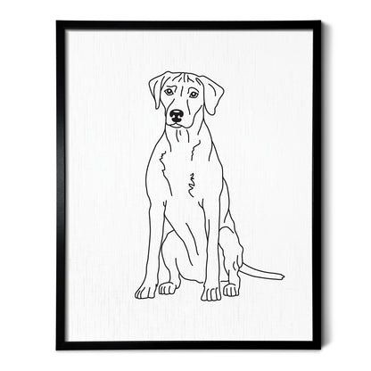 Rhodesian Ridgeback Art Print