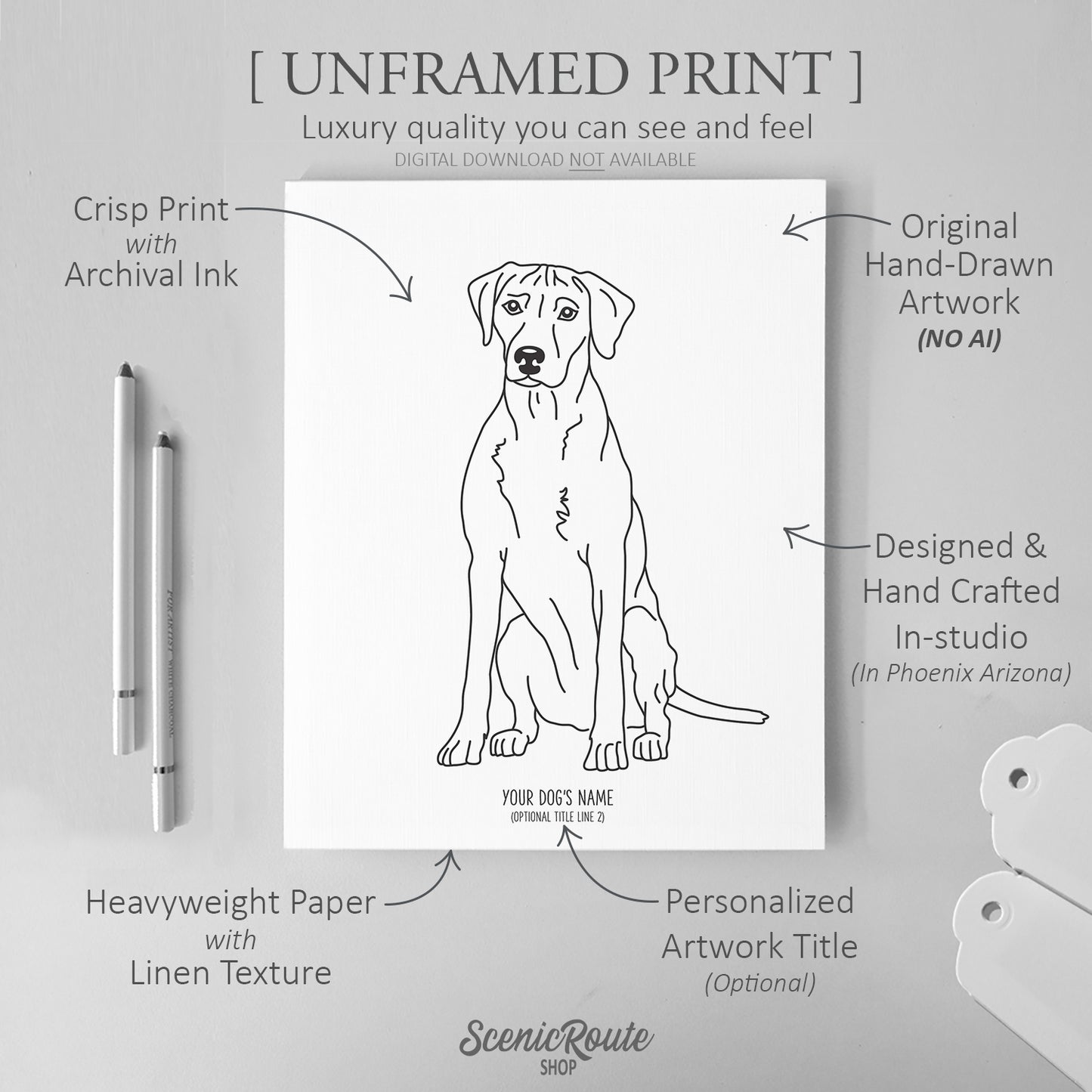 Rhodesian Ridgeback Art Print