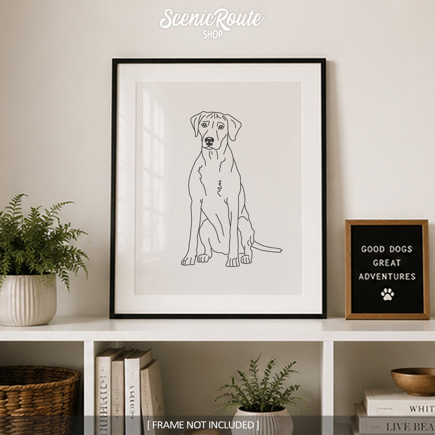 Rhodesian Ridgeback Art Print