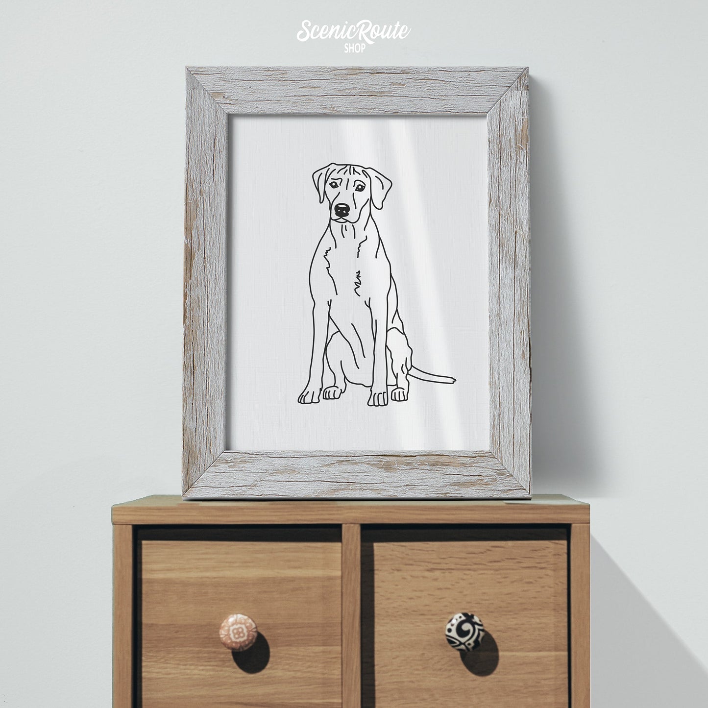 A framed line art drawing of a Rhodesian Ridgeback dog on a cabinet