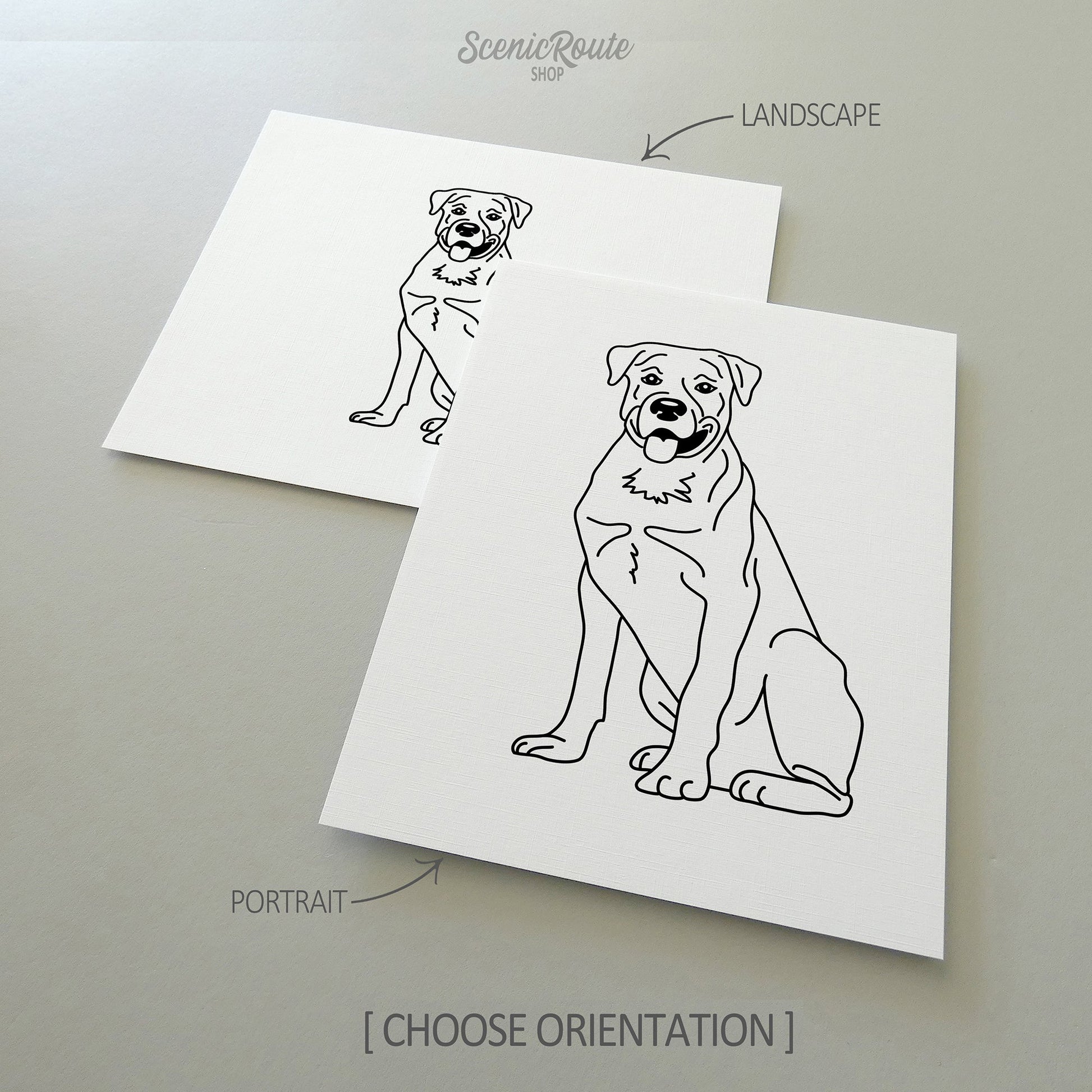Two line art drawings of a Rottweiler dog on white linen paper with a gray background.  The pieces are shown in portrait and landscape orientation for the available art print options.
