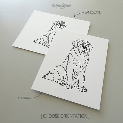 Saint Bernard Art Print