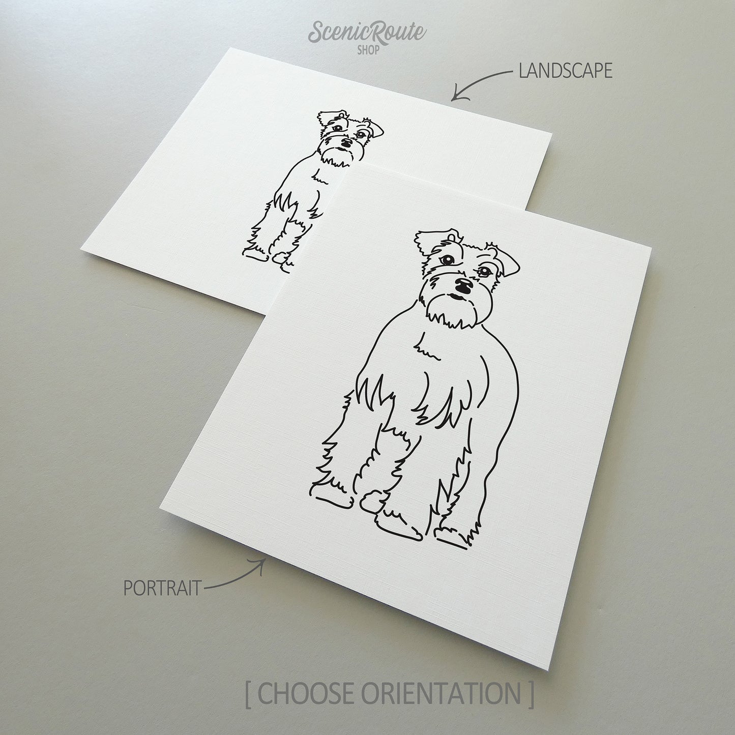 Schnauzer Art Print