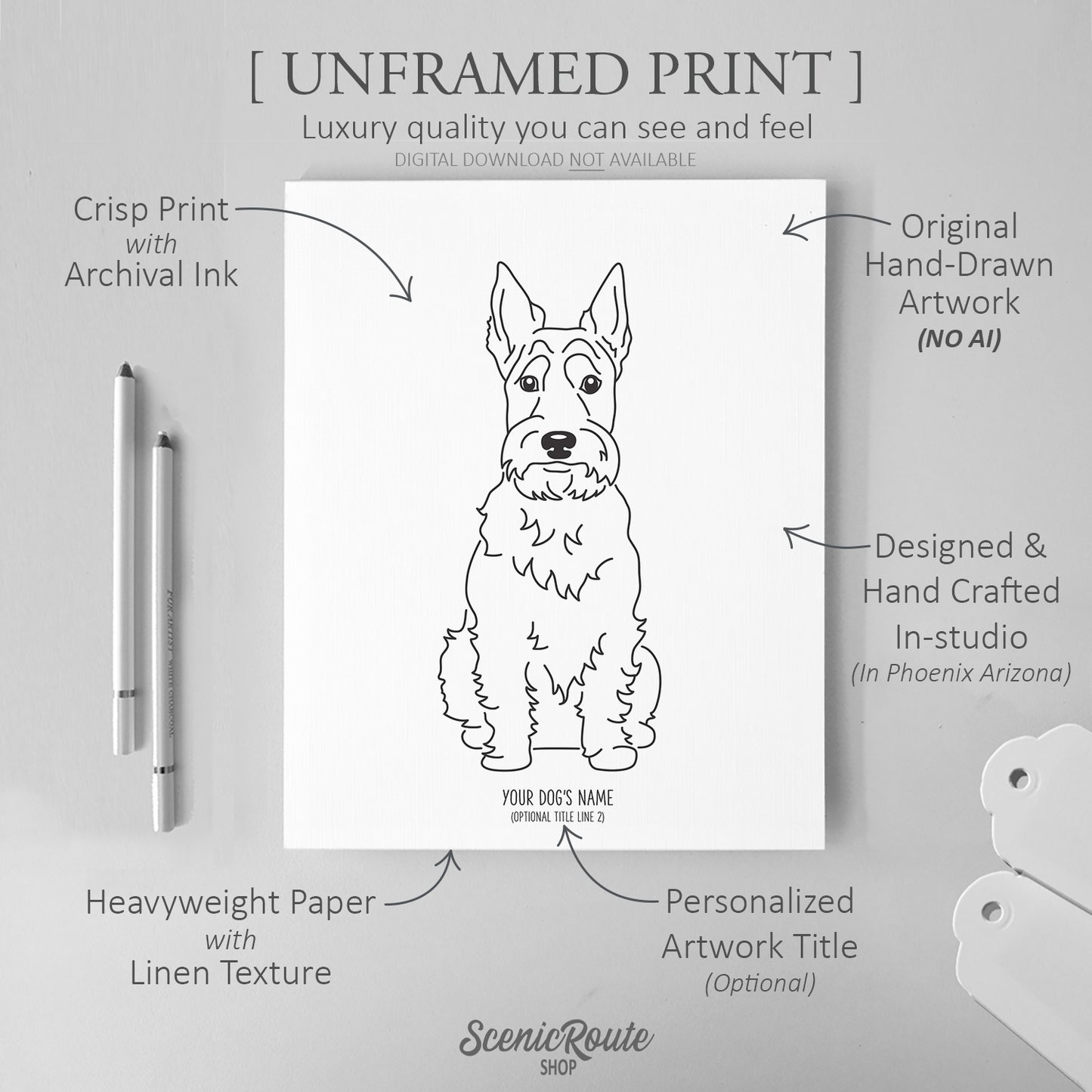 Scottish Terrier Art Print