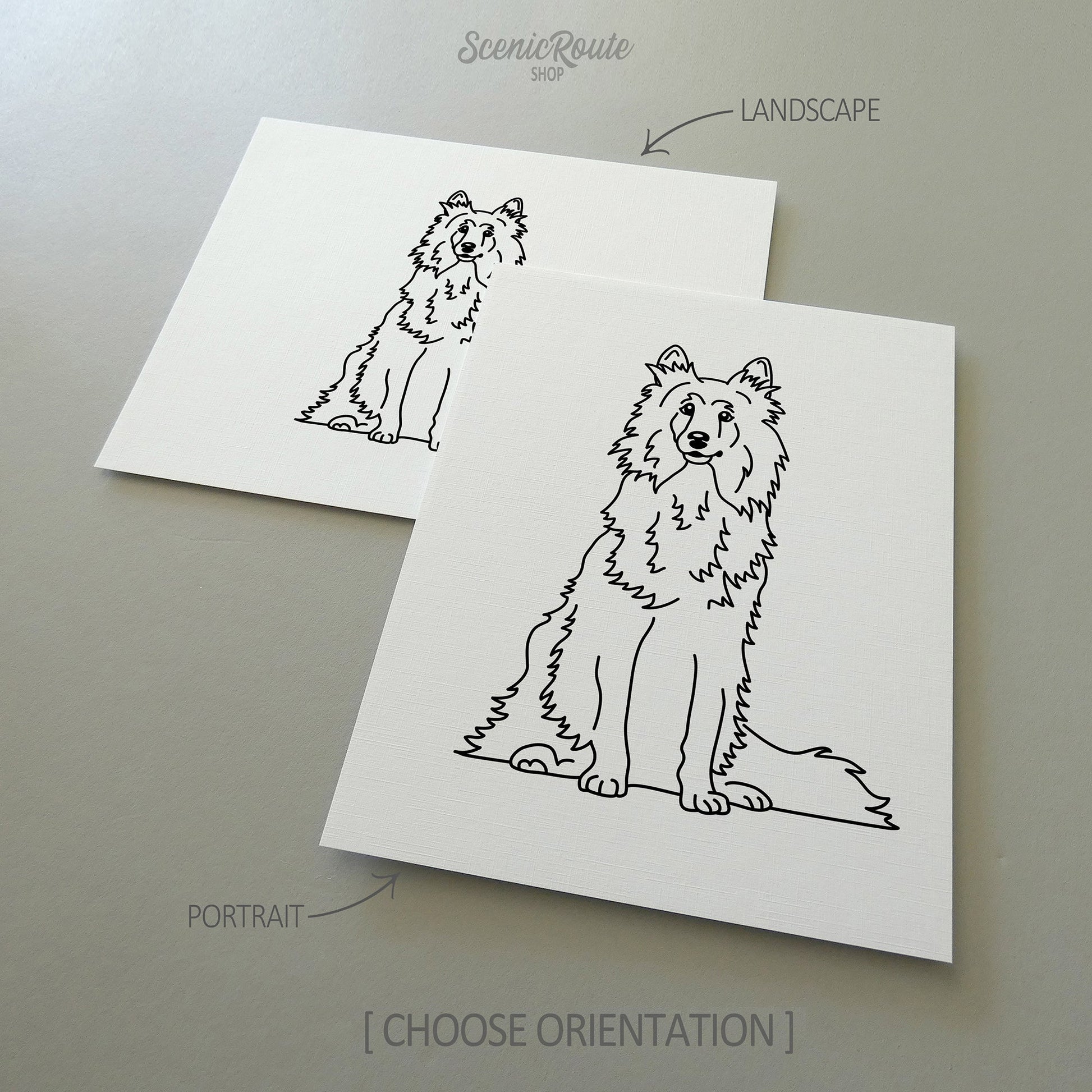 Two line art drawings of a Shetland Sheepdog dog on white linen paper with a gray background.  The pieces are shown in portrait and landscape orientation for the available art print options.