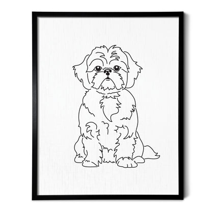 Shih Tzu Art Print