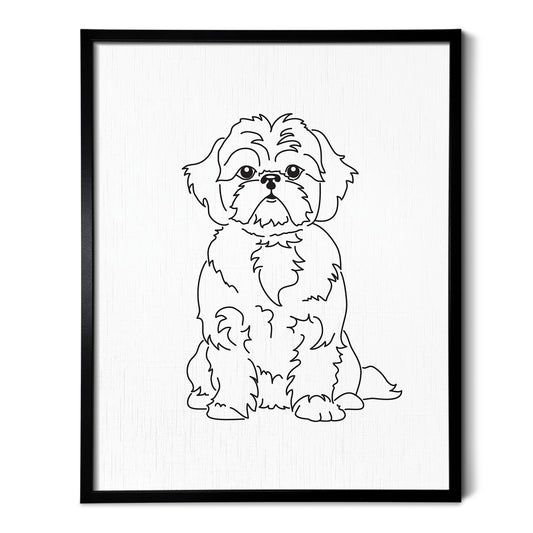 Shih Tzu Art Print