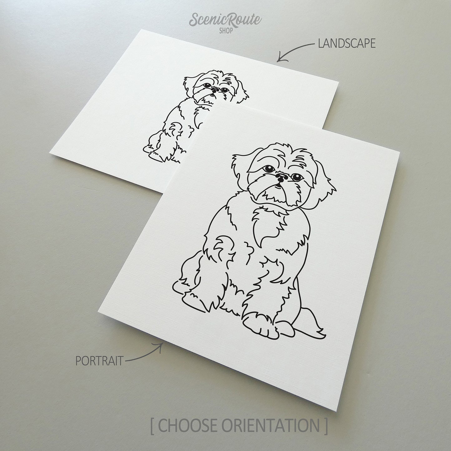 Shih Tzu Art Print