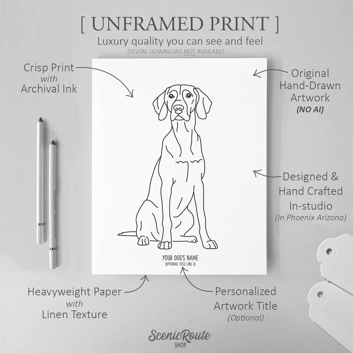 Vizsla Art Print