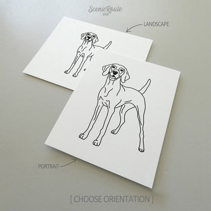 Two line art drawings of a Vizsla dog on white linen paper with a gray background.  The pieces are shown in portrait and landscape orientation for the available art print options.