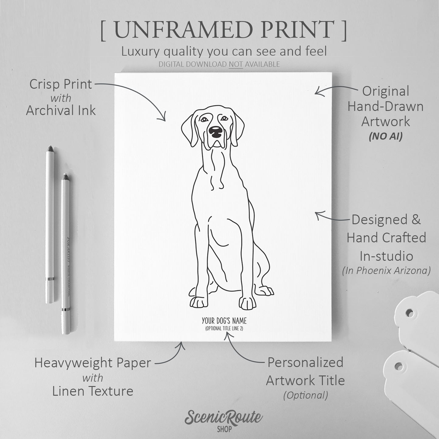 Weimaraner Art Print