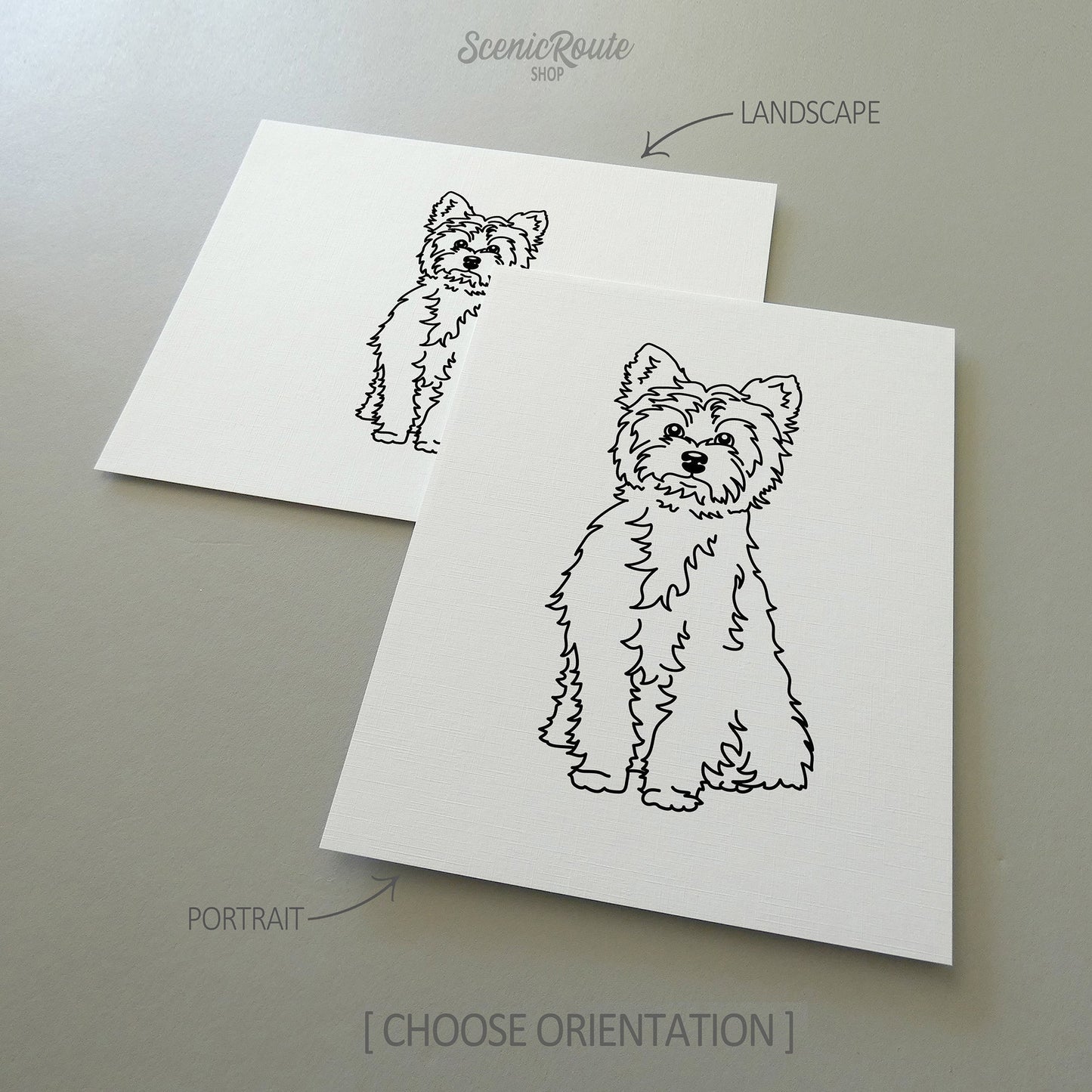 Two line art drawings of a Yorkshire Terrier dog on white linen paper with a gray background.  The pieces are shown in portrait and landscape orientation for the available art print options.