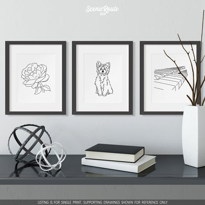 A group of three framed drawings on a wall above a dresser with books and figurines. The line art drawings include a Peony Flower, a Yorkshire Terrier dog, and a Piano
