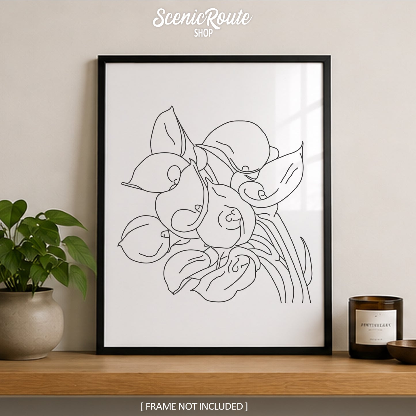 Calla Lily Flower Art Print