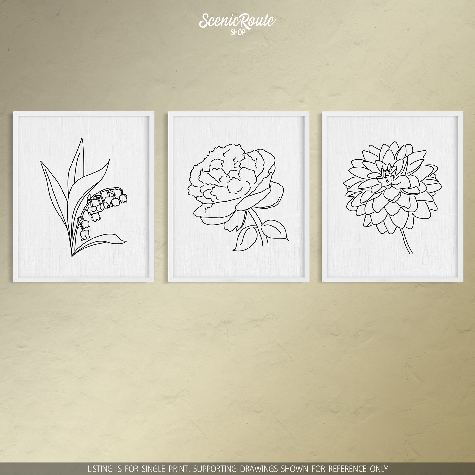 A group of three framed drawings on a white wall. The line art drawings include the Lily of the Valley Flower, Peony Flower, and Dahlia Flower