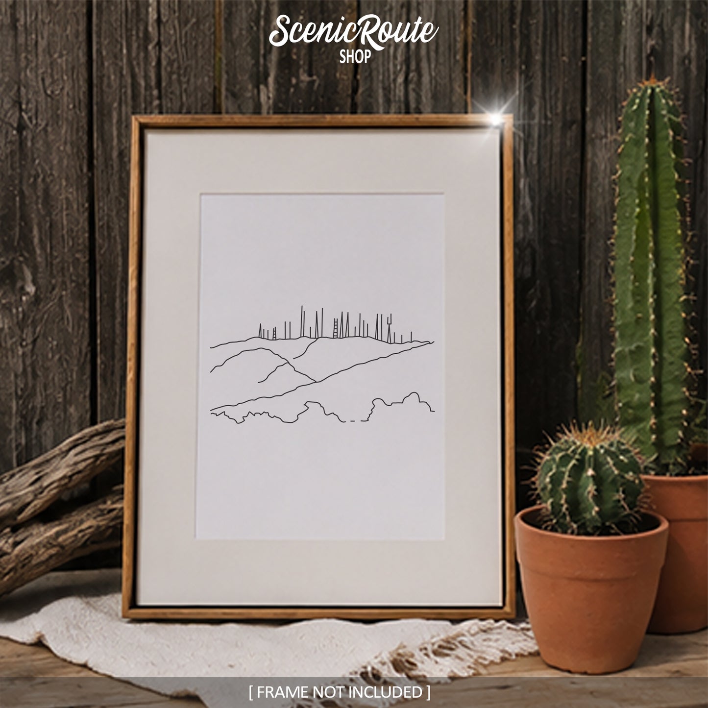 Arizona South Mountain Art Print