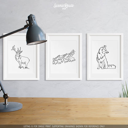 A group of three framed drawings on a wall above a desk with a lamp. The line art drawings include an Elk, the Flatiron Mountains, and a Fox
